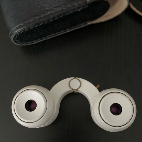 Soviet Union theater binoculars used, each eye focuses separately