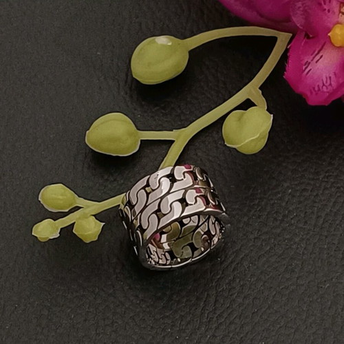 Stainless steel double chain ring new, silver