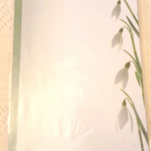 A4 letter paper sheets new, pack of 10, white snowdrop design