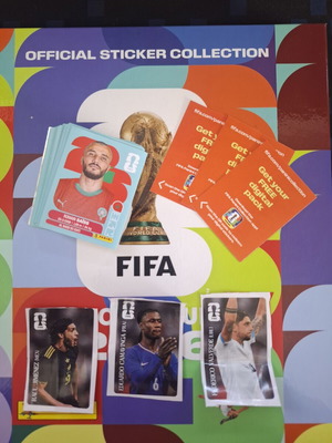 World Cup Panini sticker pack, 48 pieces