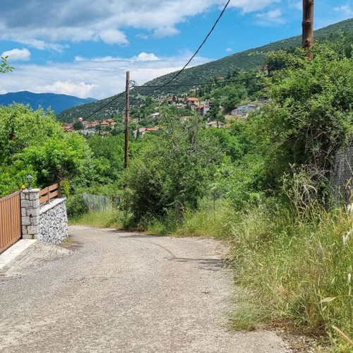 Land plot 3.5 acres in Parnassos with stunning view