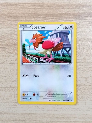 Κάρτα Pokémon Spearow Roaring Skies 2015 Common καινούργιο