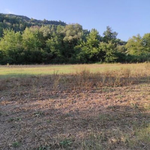 Plot of land 20 stremmata in Arcadia, Tropaia Livadaki area