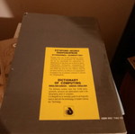 Diaulos modern dictionary of computing used