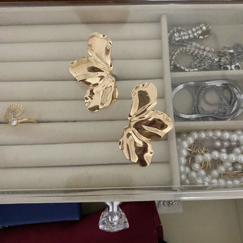 Earrings unused