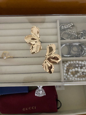 Earrings unused