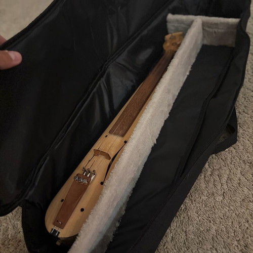 Pontian lyra case double new with foam and fur lining