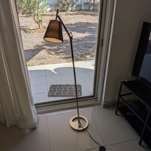 Floor lamp with adjustable arm