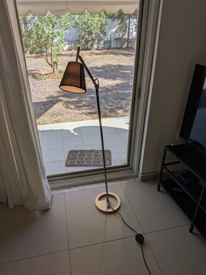 Floor lamp with adjustable arm