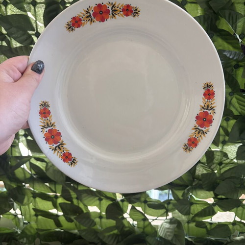 Vintage dinner plates with floral pattern, set of 2, 24 cm