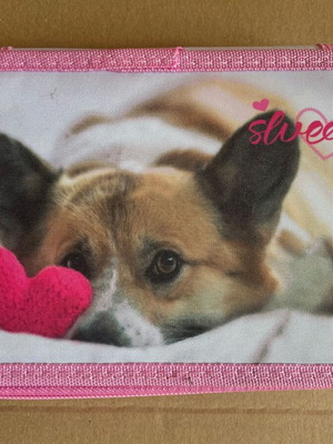 Sweet Puppy double pencil case, pink
