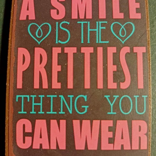 Fridge magnets set of 3 like new