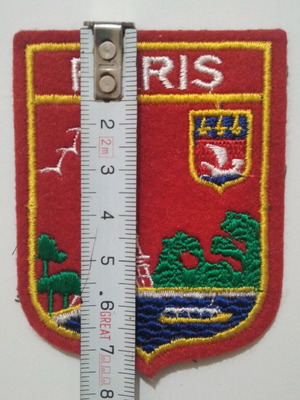 Paris embroidered patch