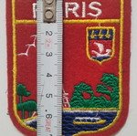 Paris embroidered patch