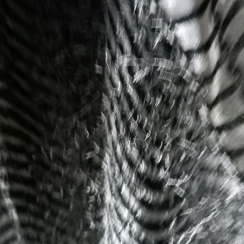Zebre scarf like new, black and white, long, distinctive