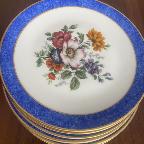 Scherzer Bavaria porcelain plate set cobalt blue floral mint condition