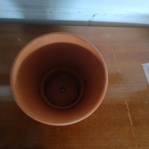 Small ceramic flowerpot used