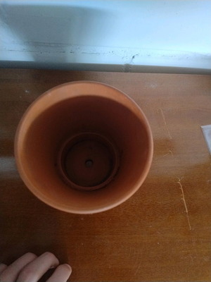 Small ceramic flowerpot used