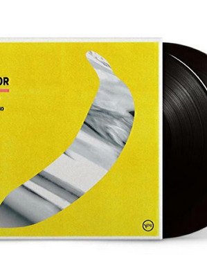 I'll Be Your Mirror 2LP vinyl new, rock