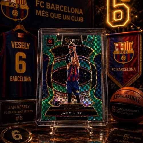 Jan Vesely Basketball Card new