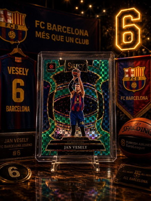 Jan Vesely Basketball Card new