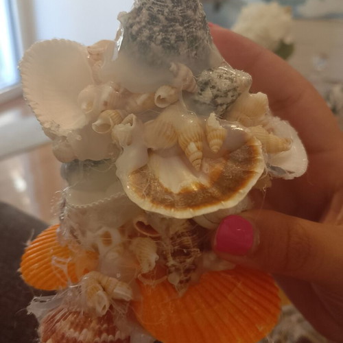 Shell jewelry stand new