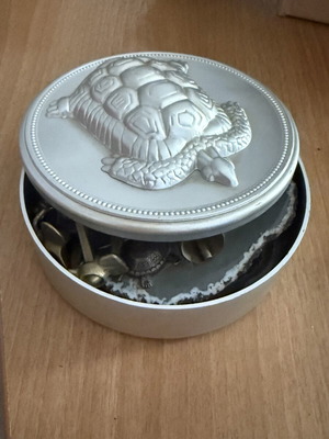 Storage box with turtle design