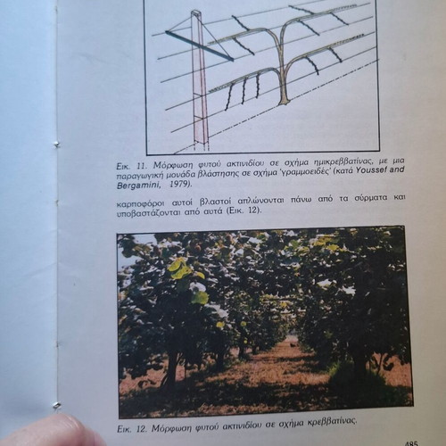 Special Dendrology book used, cultivation of nuts and stone fruits
