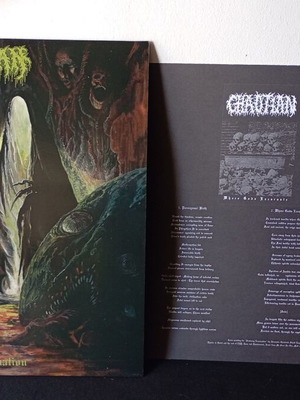 Chaotian Festering Excarnation LP μεταχειρισμένο, βινύλιο 12"