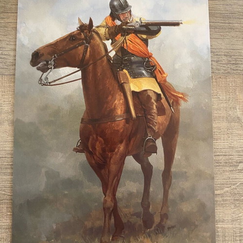 Osprey card postal set of 40 like new