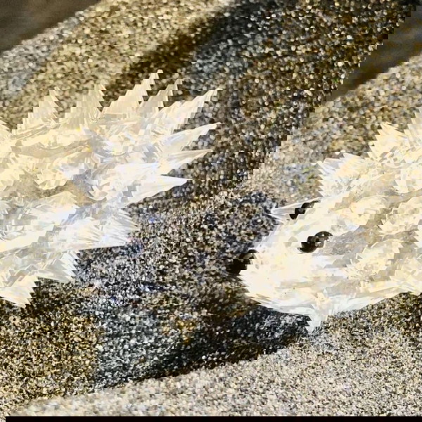 Swarovski Διακοσμητική Μινιατούρα Σκατζόχοιρος