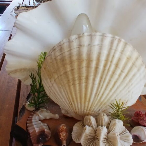 Decorative lamp with seashells from Aruba, vintage