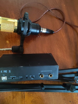 Audio Interface USB 2-Channel with Condenser Microphone used