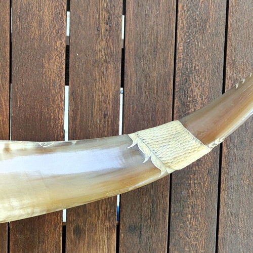 Buffalo horn with handmade dragon carving like new