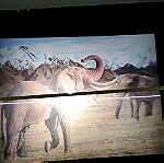  Εικονα 3D - Ελεφαντες στη Σαββανα