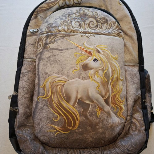 Polo Authentic School Backpack like new with 5 compartments and waterproof cover