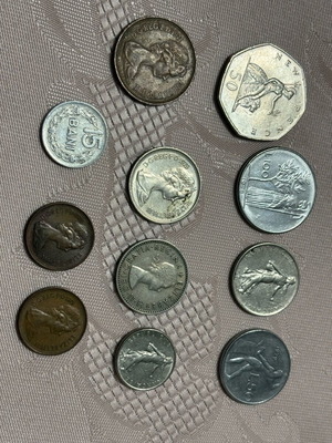 Coins used, all together