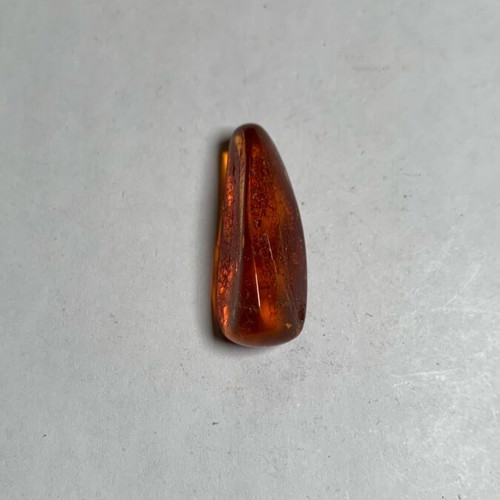 Amber with mosquito used