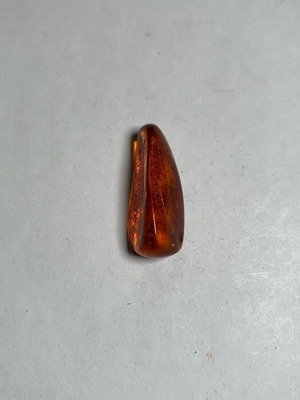 Amber with mosquito used
