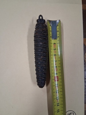 Pine cone for clock used, 230 grams