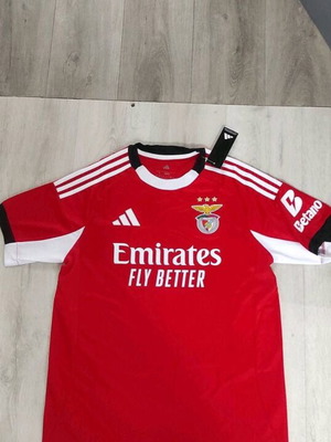 Benfica Home Jersey 2024-25 Official Copy Vangelis Pavlidis 14 New