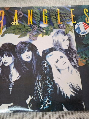 Bangles Everything LP used, rock