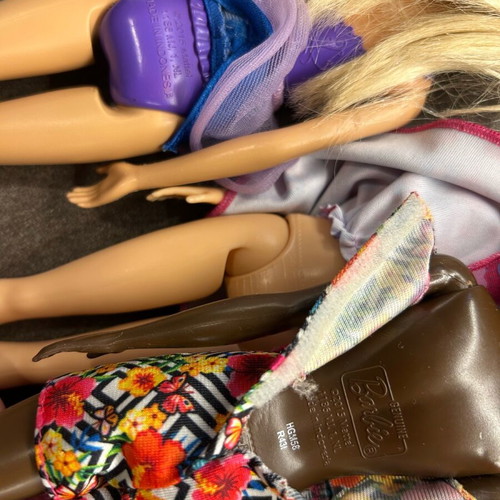 Barbie dolls set with mermaid and accessories