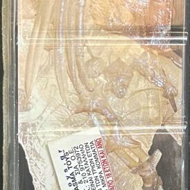 Stealth Mode Predator 8” Alien vs Predator Requiem Series 3 Action Figure new