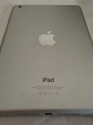 iPad mini Wi-Fi tablet with screen lines