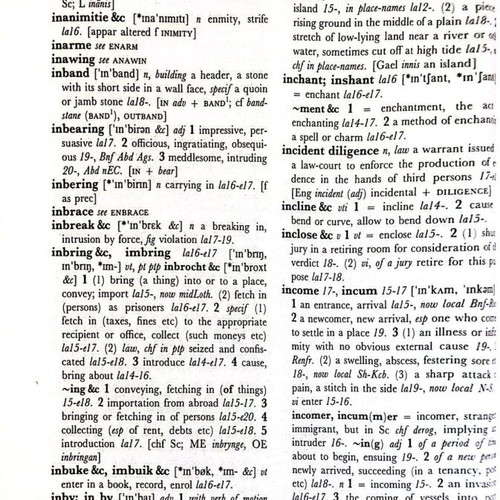 The Concise Scots Dictionary like new