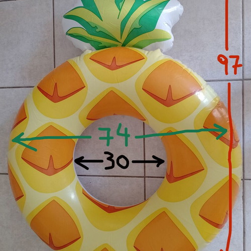 Inflatable Pineapple Swim Ring and Used Foot Pump