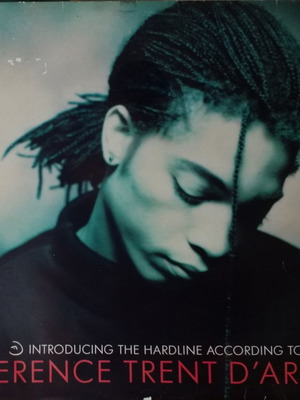 Introducing The Hardline According To Terence Trent D'Arby vinyl LP used, R&B / Soul
