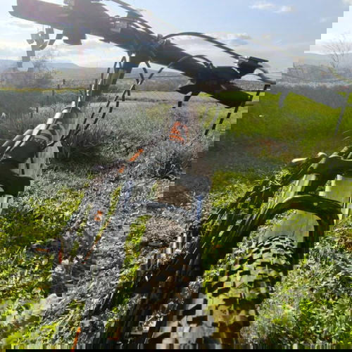 Ποδήλατο Sector Thor 29" σαν καινούργιο, μαύρο, με δισκόφρενα και μπροστινή ανάρτηση