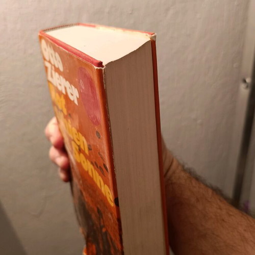 Book Rot Schien Die Sonne Roman used, German